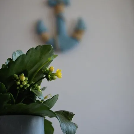 Appartement Marynarskie 400m Od Plazy *