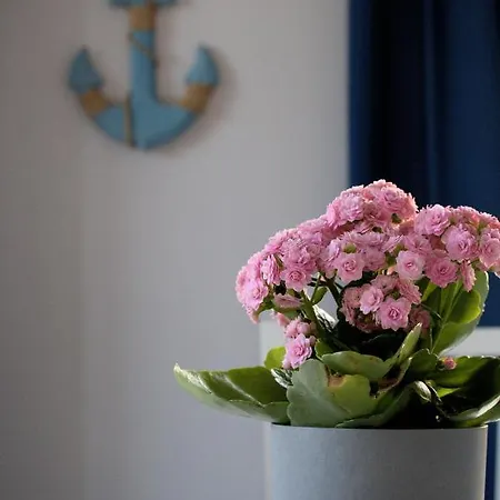 Appartement Marynarskie 400m Od Plazy *