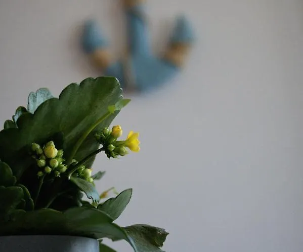 Апартаменты Marynarskie 400m Od Plazy *