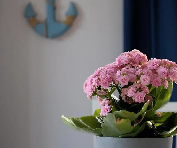 Апартаменты Marynarskie 400m Od Plazy *